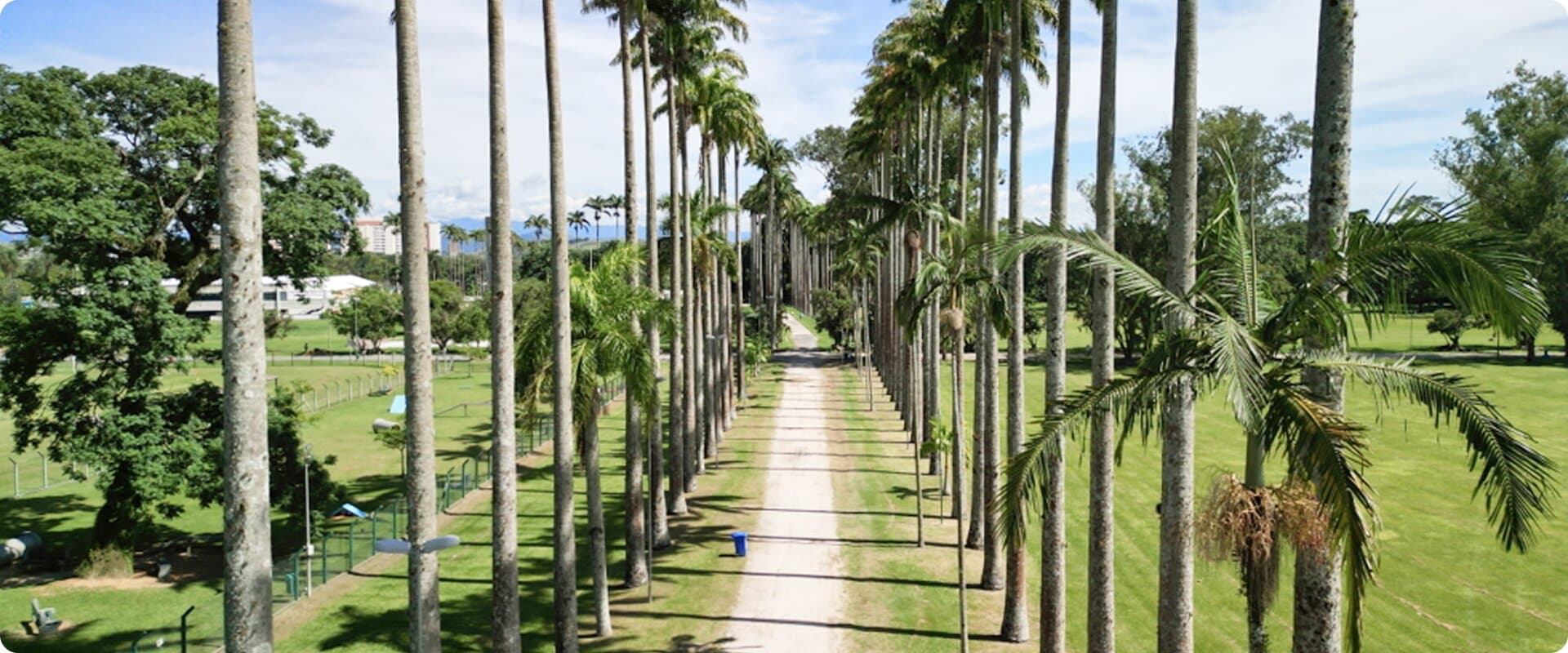 Independence Imóveis