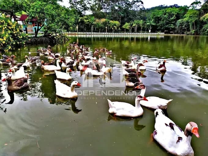 Terreno à venda, Tapanhão, Jambeiro, SP