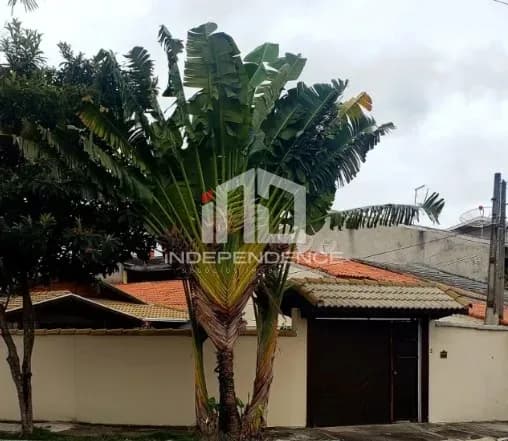Foto principal