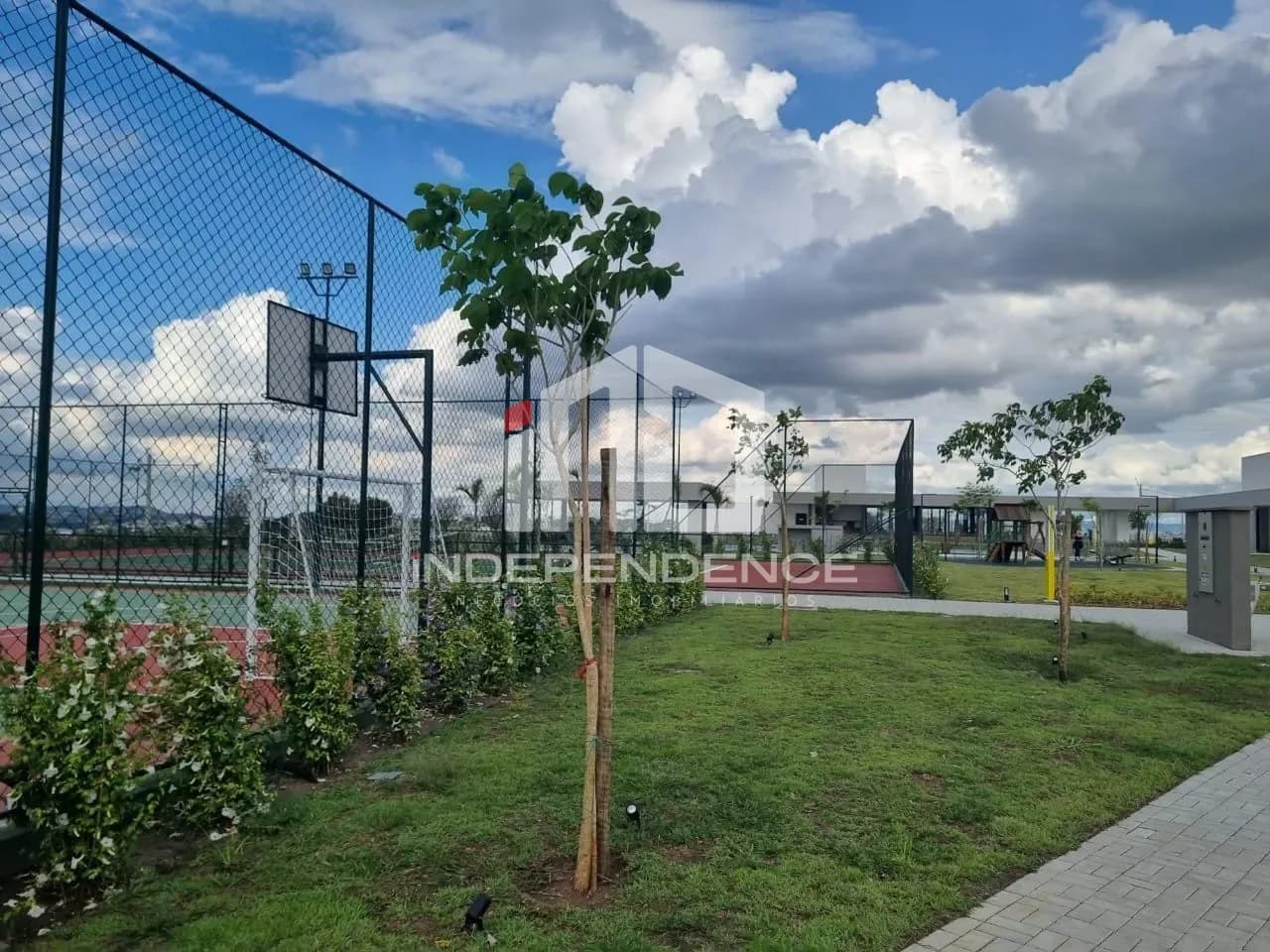 Foto 5