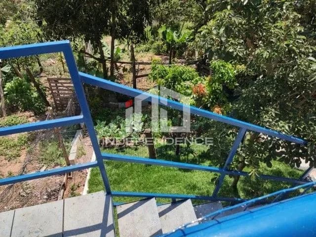 Foto principal